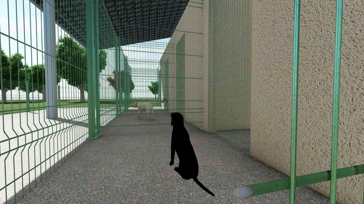 Başiskele\'de sokak hayvanları için bakımevi yapılacak