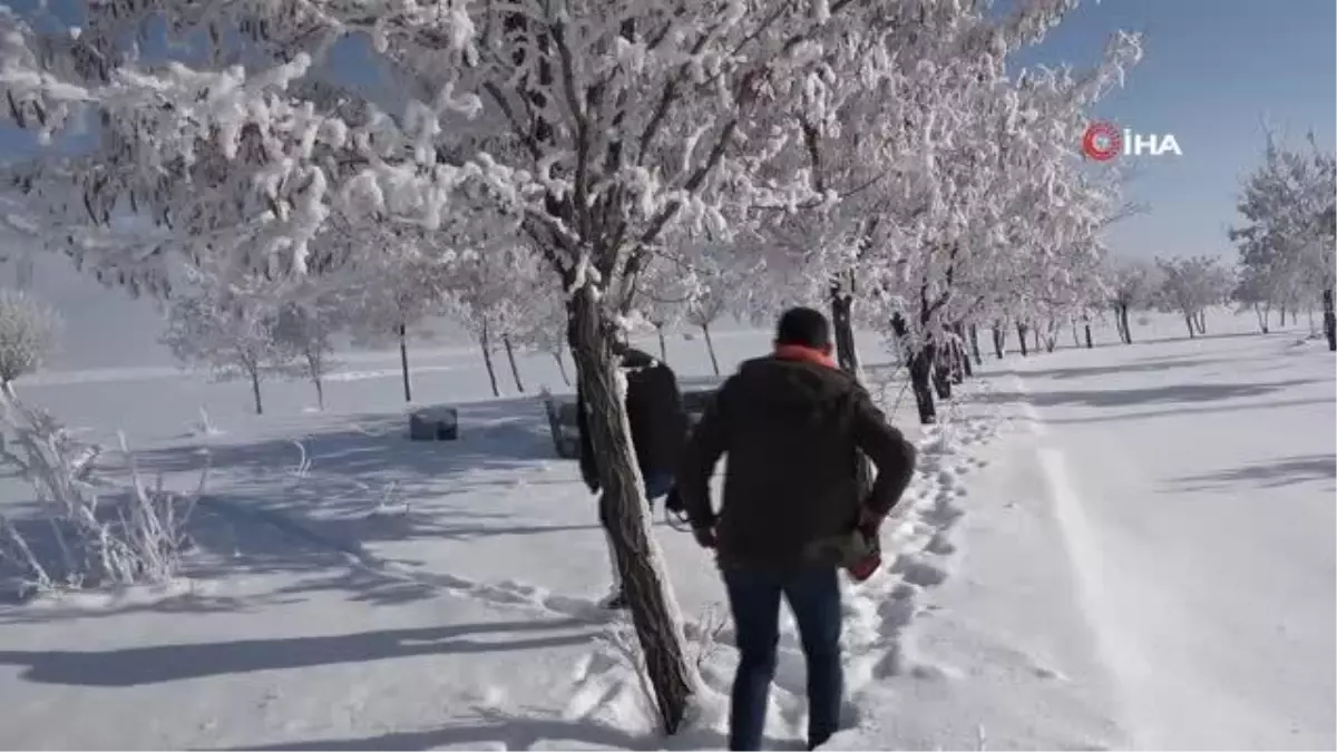 Bitlis\'te dondurucu soğuk