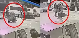 Çöp kovası hırsızlığı kamerada! Kullandıkları yöntem pes dedirtti