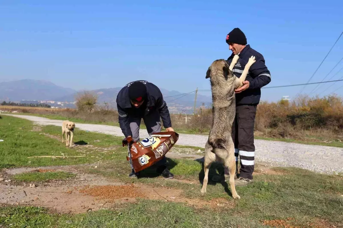 Efeler Belediyesi can dostları unutmuyor