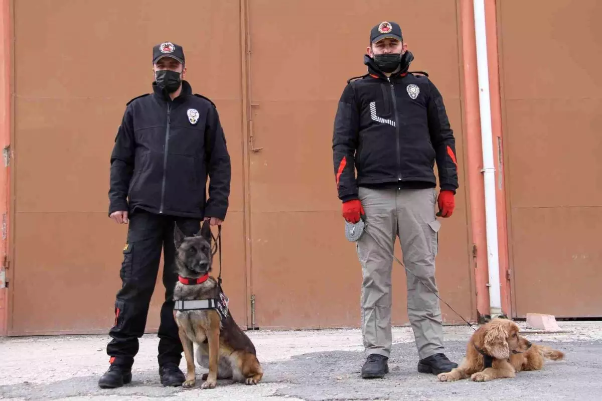 Elazığ\'da uyuşturucu tacirlerinin korkulu rüyası: Alex ve Nina