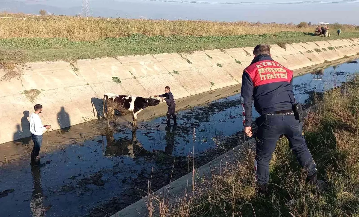 Firar eden düvenin başına gelmeyen kalmadı