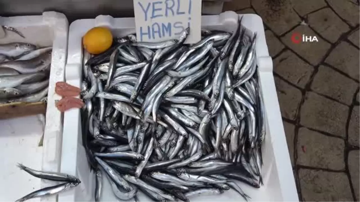 Hamsi tezgahları terk etti