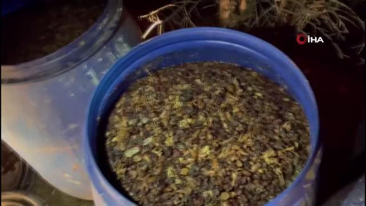 Malatya'da 2 bin litre sahte alkol ele geçirildi