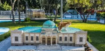 Minyatür Türkiye Parkı'nın tüylü sakinleri