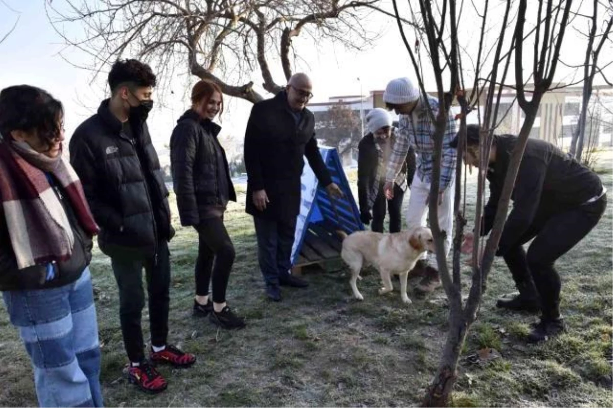 Rektör Ataç ve MCBÜ öğrencilerinden sokak hayvanlarına kulübe