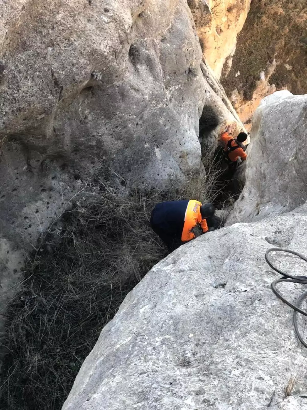 Siirt\'te kayalıklarda mahsur kalan keçiler AFAD tarafından kurtarıldı