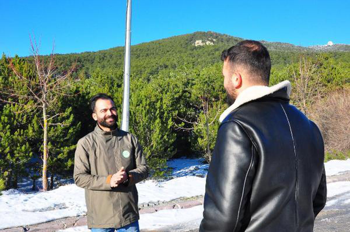 Spil\'de çam ağacı kesimine devriyeli önlem