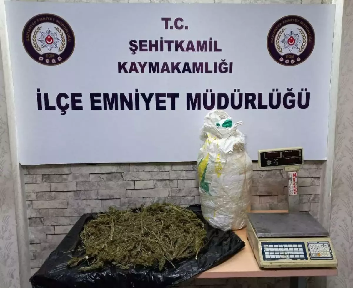 Gaziantep\'te 2 kilo 480 gram esrar yakalandı