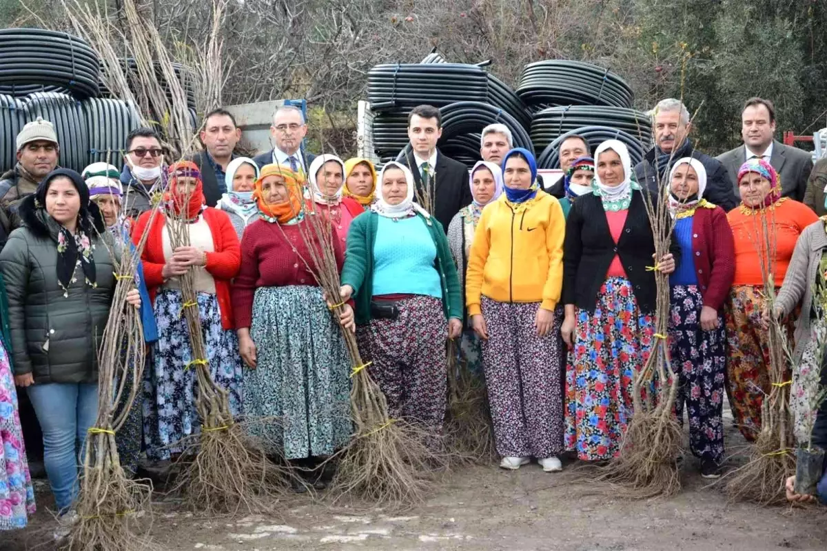 Karacasu ve Çine\'deki orman yangınlarının yaraları sarılıyor