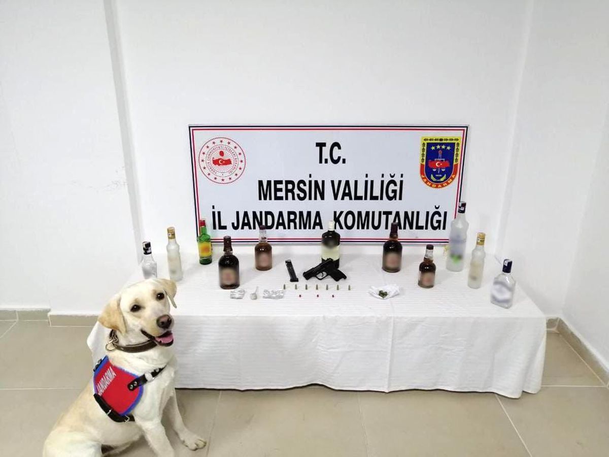 Mersin\'de sahte alkol uygulaması