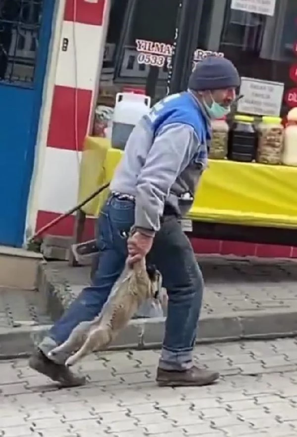 Yavru köpeği patilerinden tutarak taşıdığı görüntüler büyük tepki çekmişti! Belediye işçisi kendini böyle savundu