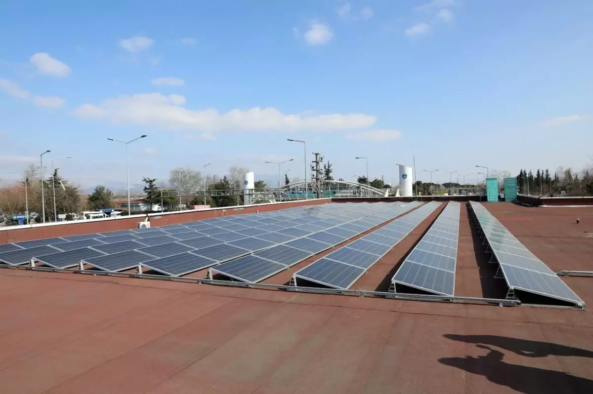 2022\'de yenilenebilir enerji \'güneş\' gibi parlayacak