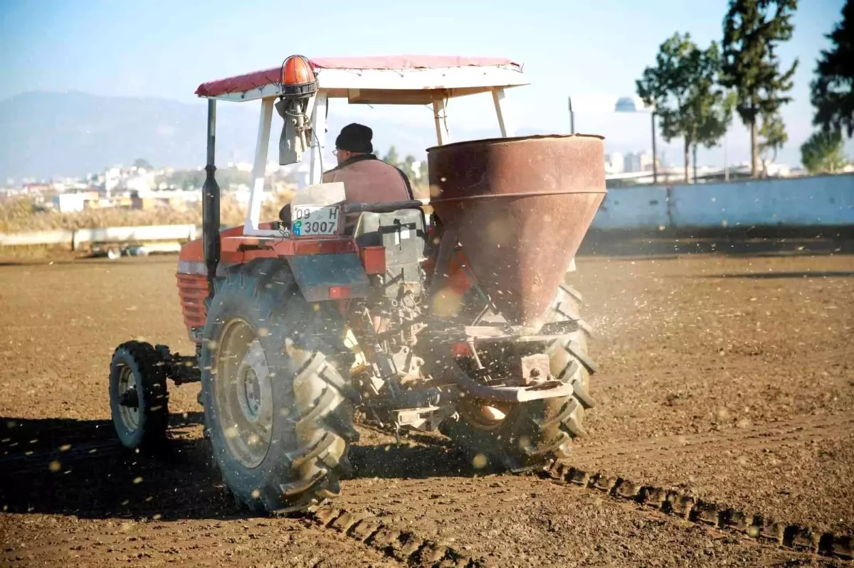 Aydın Büyükşehir Belediyesi arpa ekimine başladı