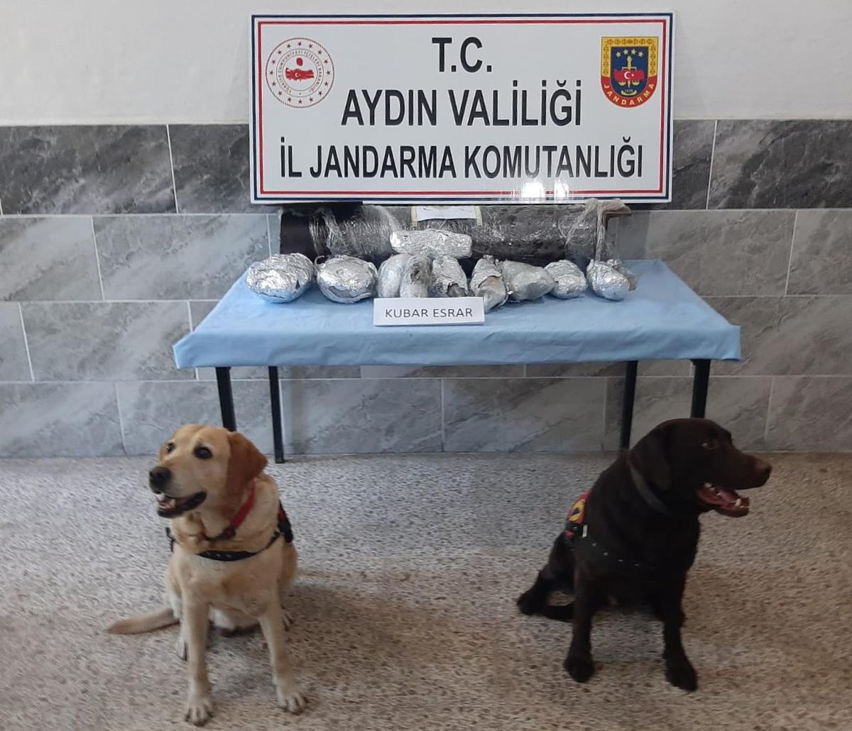 Aydın merkezli suç örgütüne yönelik operasyonda 13 şüpheli yakalandı
