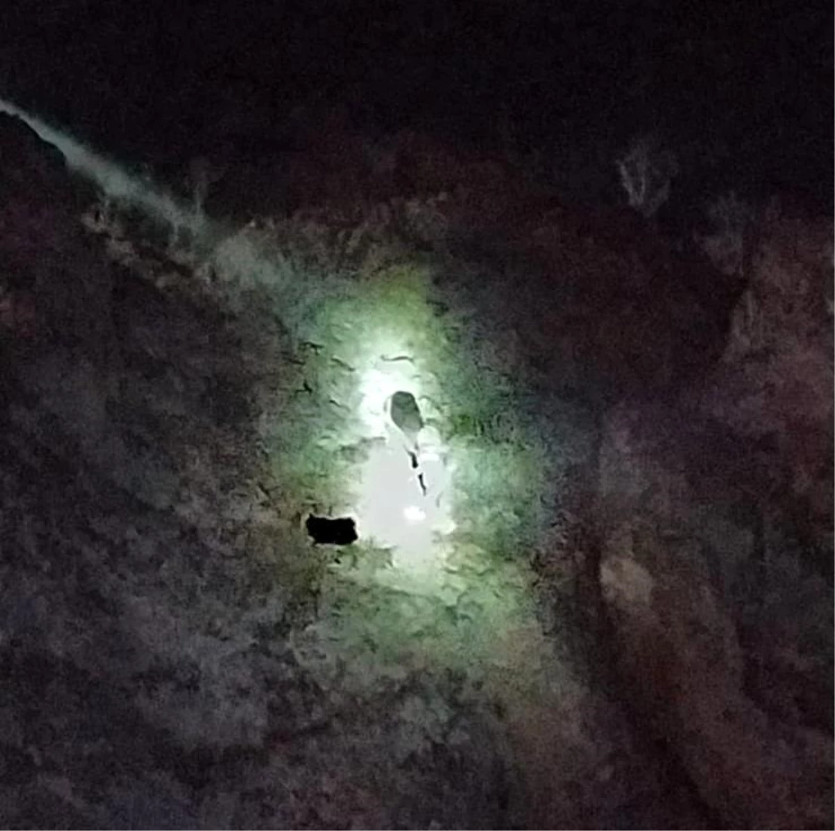 Bingöl\'de kayalıklarda mahsur kalan keçiler kurtarıldı