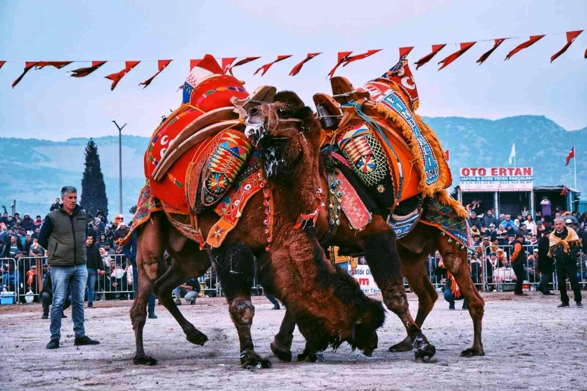 Deveci Başkan\'dan yeni yılın ilk deve güreşine davet