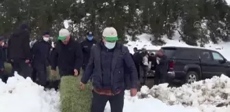 KAHRAMANMARAŞ - Yaban hayvanları için doğaya yem bırakıldı