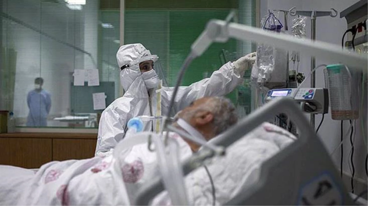 Son Dakika! Türkiye\'de 29 Aralık günü koronavirüs nedeniyle 142 kişi vefat etti, 36 bin 684 yeni vaka tespit edildi