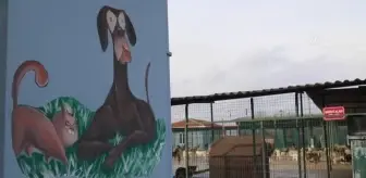 Yasaklı ırk köpek denetimleri artırılacak