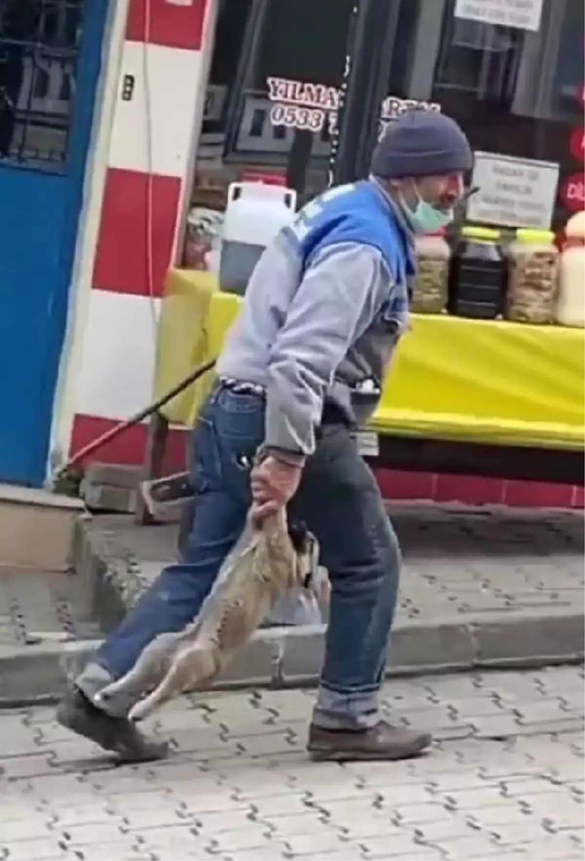 Yavru köpeği patilerinden tutup taşıyan işçiye para cezası