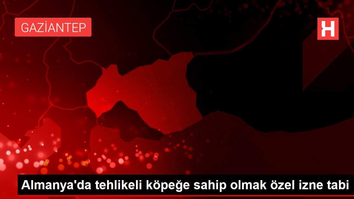 Almanya'da tehlikeli köpeğe sahip olmak özel izne tabi