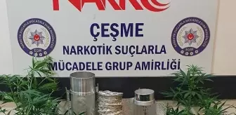 Son dakika haber: İzmir'de evinde kenevir yetiştiren kişi gözaltına alındı