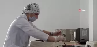 Kendinizi daha mutlu hissetmek için nasıl beslenmeli