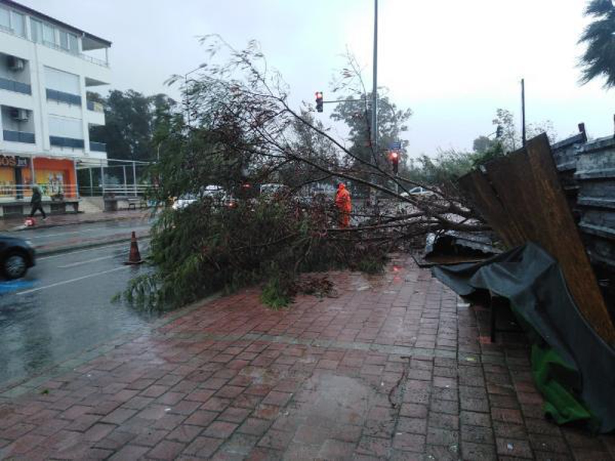 \'Kırmızı kod\' alarmı verilen Antalya\'da dereler taştı, yol kapandı (8)