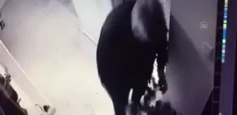 Komşusunun kapısına çöp ve sıvı döken şüpheli gözaltına alındı