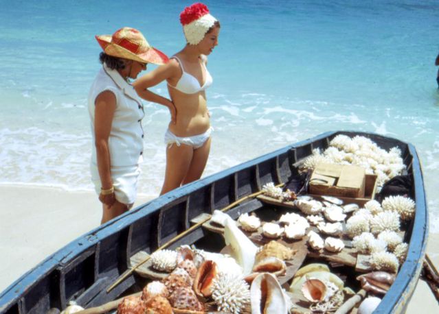 Mauritius neden deniz kabuklarını kaybediyor?