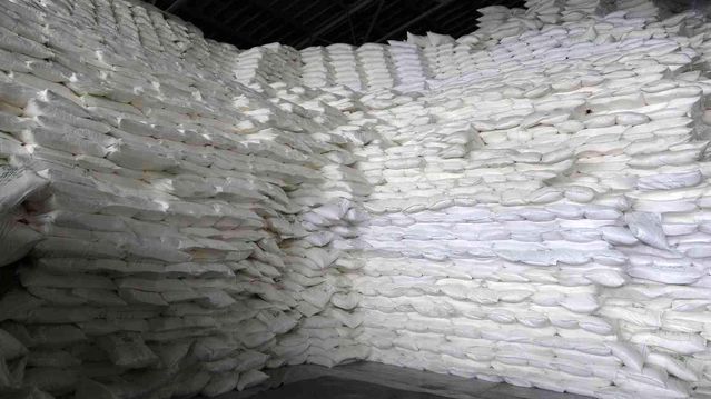 Muş'ta 38 bin 290 ton şeker üretimi yapıldı