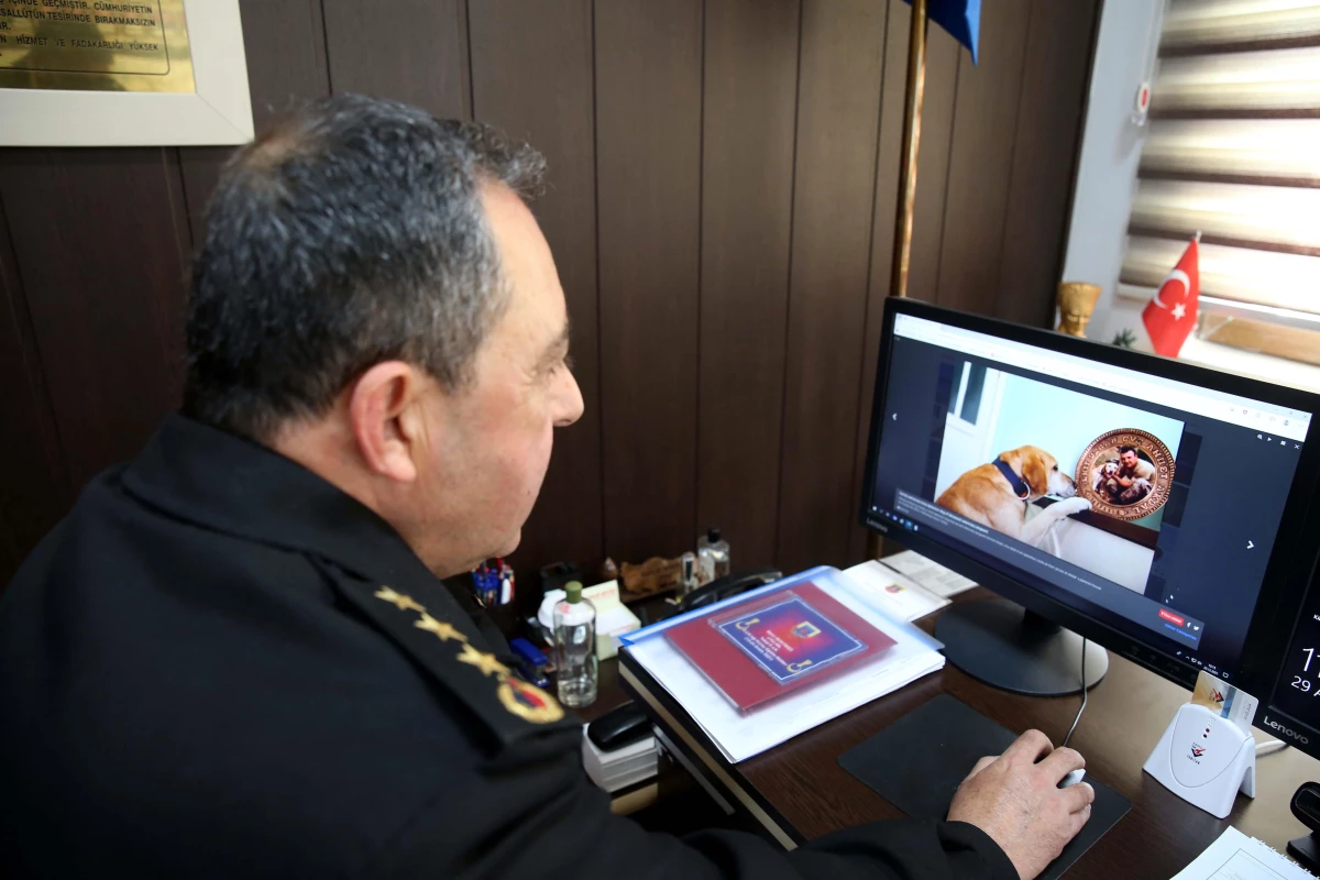 Tokat Cumhuriyet Başsavcısı ve İl Jandarma Komutanı AA\'nın "Yılın Fotoğrafları" oylamasına katıldı