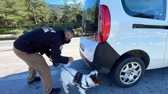 Bodrum'da oteller doldu, trafik kilitlendi, denetimler iki katına çıktı