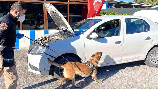 Bodrum'da oteller doldu, trafik kilitlendi, denetimler iki katına çıktı