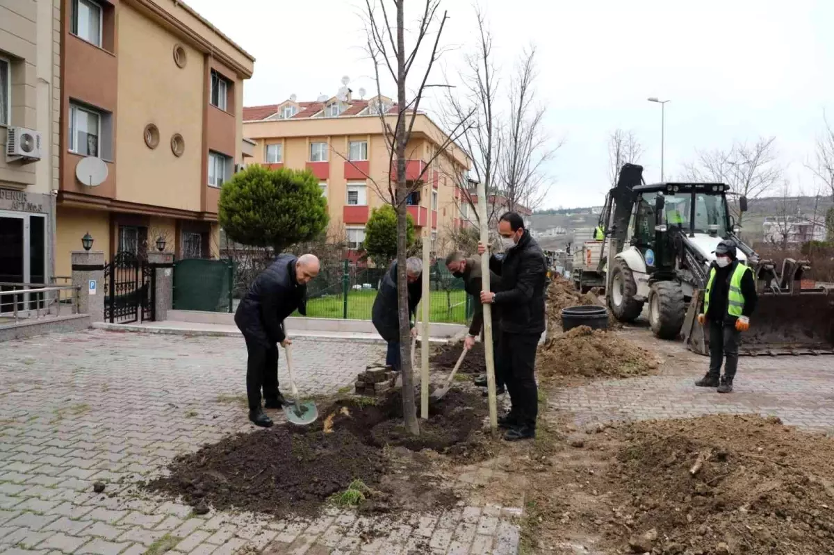 Büyükçekmece 2022 yılına 22 ıhlamur ağacı dikerek girdi