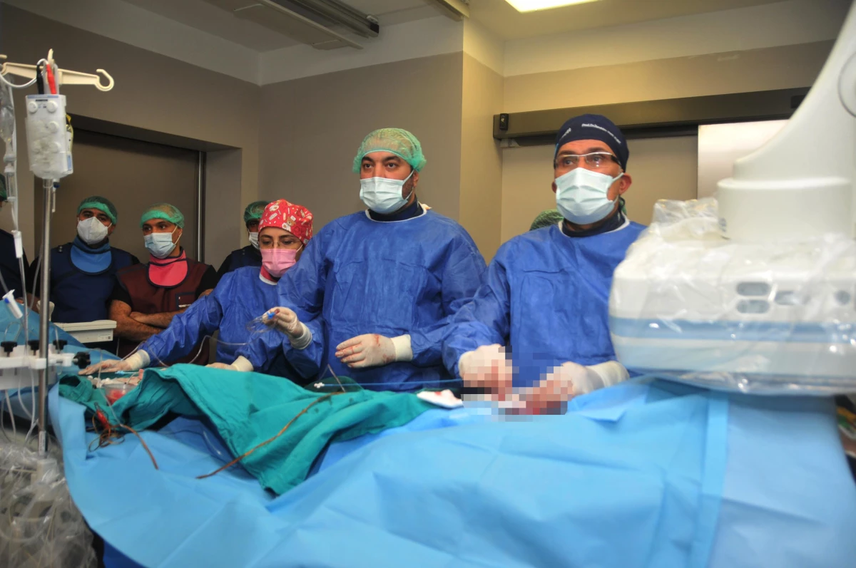 İranlı doktorlar Adana\'da kalp kapak değişimi uygulaması eğitimi aldı