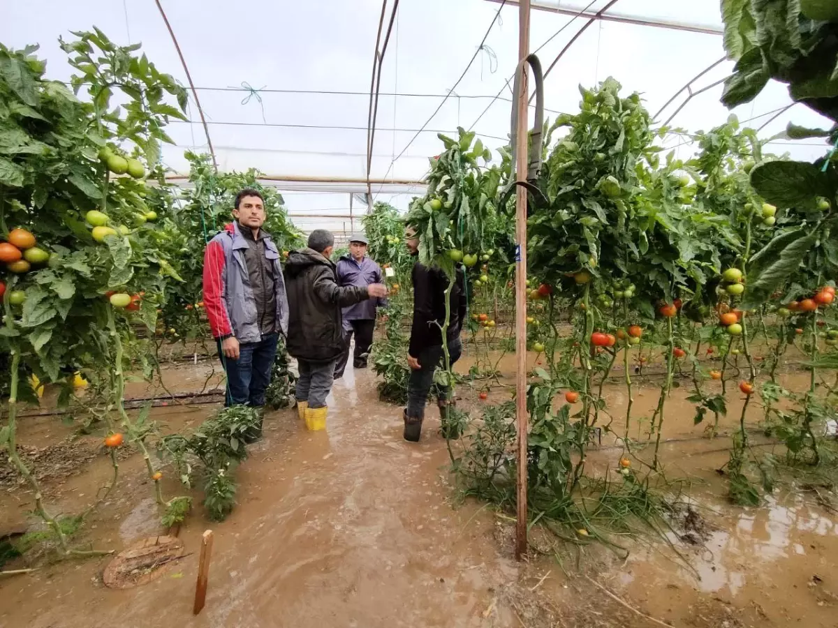 \'Kırmızı kodlu\' Kumluca\'da dereler taştı, seralar su altında kaldı