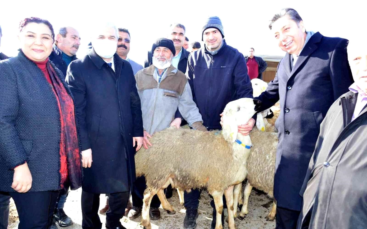 Kırşehir\'de çiftçilere hayvan desteği