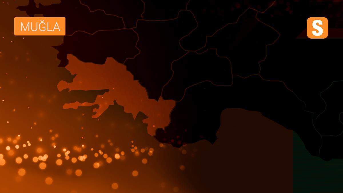 Son dakika haberi: Muğla\'daki sahte para operasyonunda gözaltına alınan 3 şüpheli tutuklandı