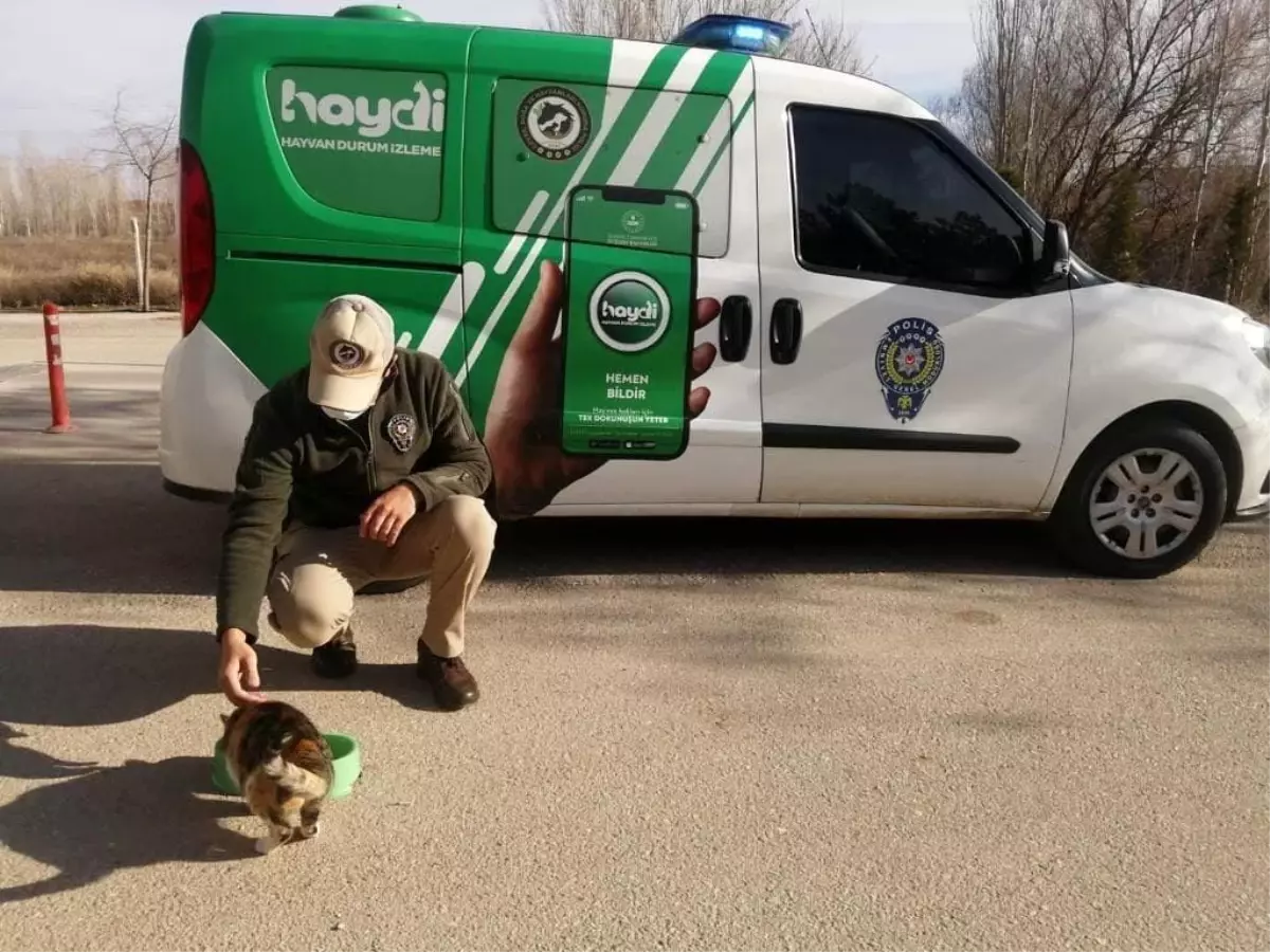Polis, sokak hayvanlarına sahip çıktı