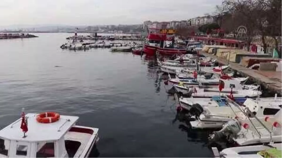 "Çinekop" yeni yılda tezgahları süslüyor