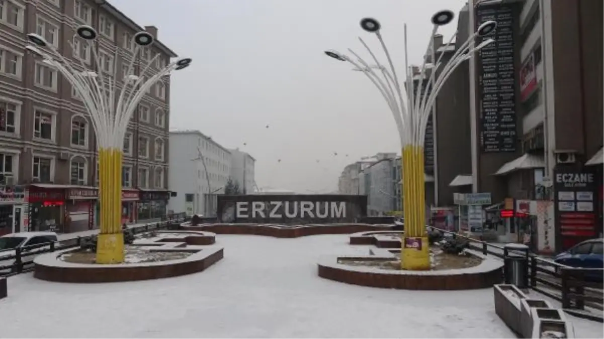 Erzurum\'da yoğun kar yağışı