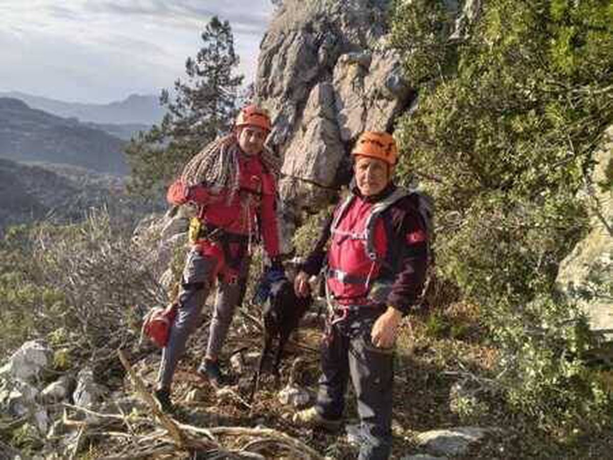 Goat stuck on a rock in Serik rescued