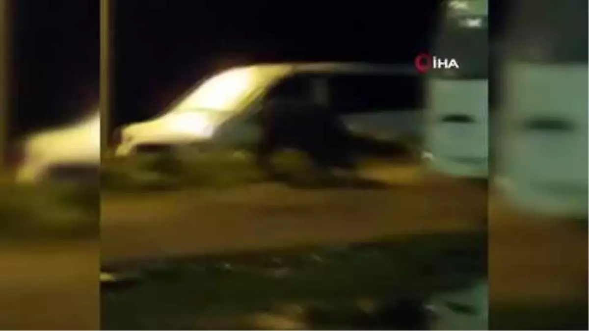 Eyüpsultan'da aç kalan domuz şehir merkezine indi