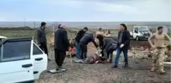 Son dakika haberi: Şanlıurfa'da kamyon ile otomobilin çarpıştığı kazada 6 kişi yaralandı