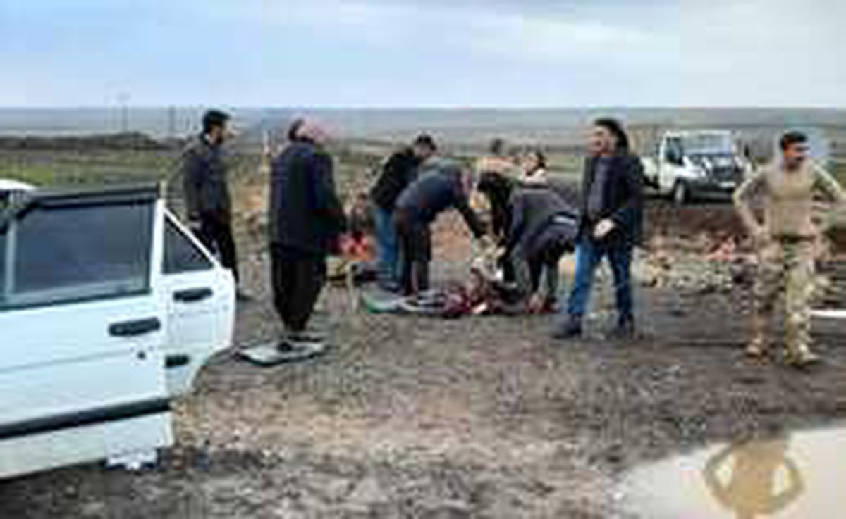 Son dakika haberi: Şanlıurfa'da kamyon ile otomobilin çarpıştığı kazada 6 kişi yaralandı