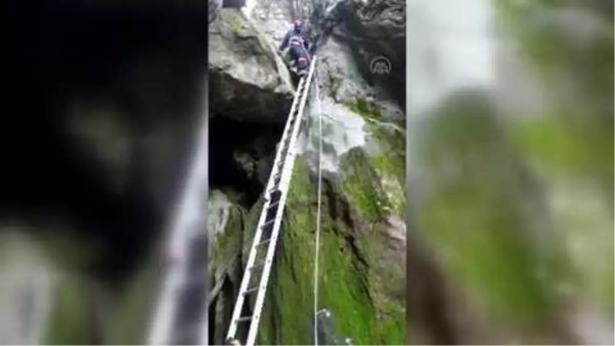 Kanyona düşen oğlağı itfaiye ekipleri kurtardı