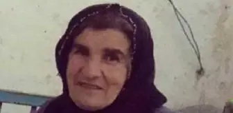 Son dakika haberleri | Safiye evinde ölü bulundu