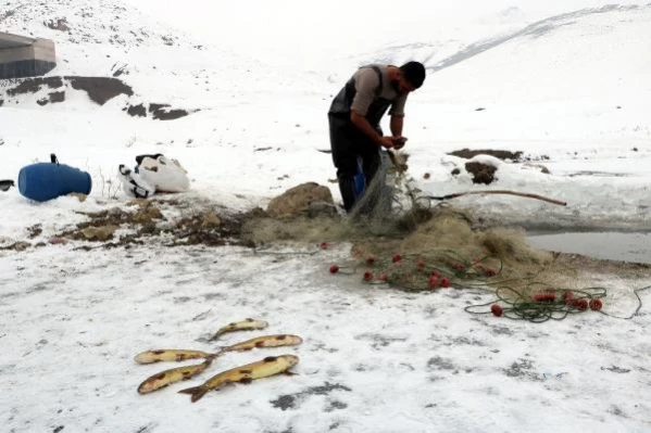 Donan derede Eskimo usulü balık avı